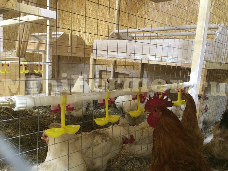 2316 Ниппельная поилка двойная с каплеуловителем НП18 LAB.Space  - Вид №1