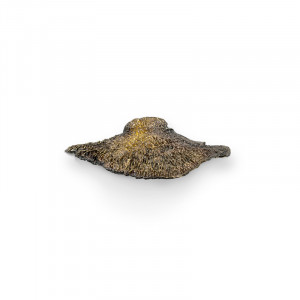 EA1032 Fungi PULLCAST Earth Collection