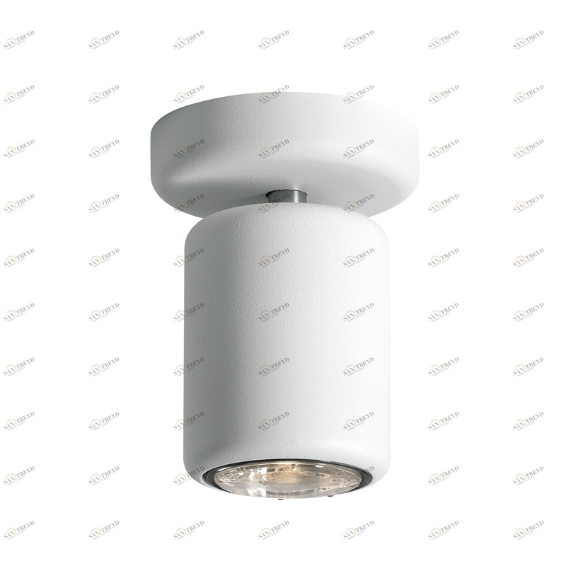 Потолочный светильник D84E0501 от Fabbian FABBIAN ДИЗАЙНЕРСКИЕ 244010 Белый 