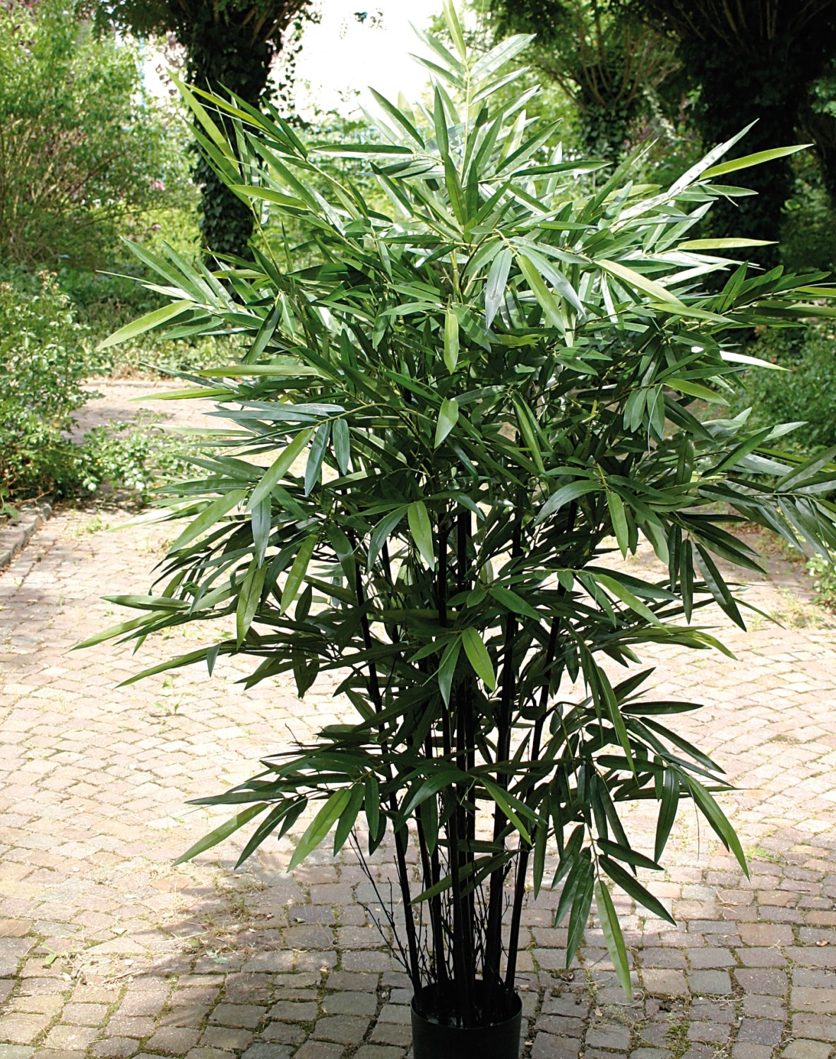 5694 883 a3 Бамбук искусственный, в горшке, 210 см, зеленый H-andreas  - Вид №8