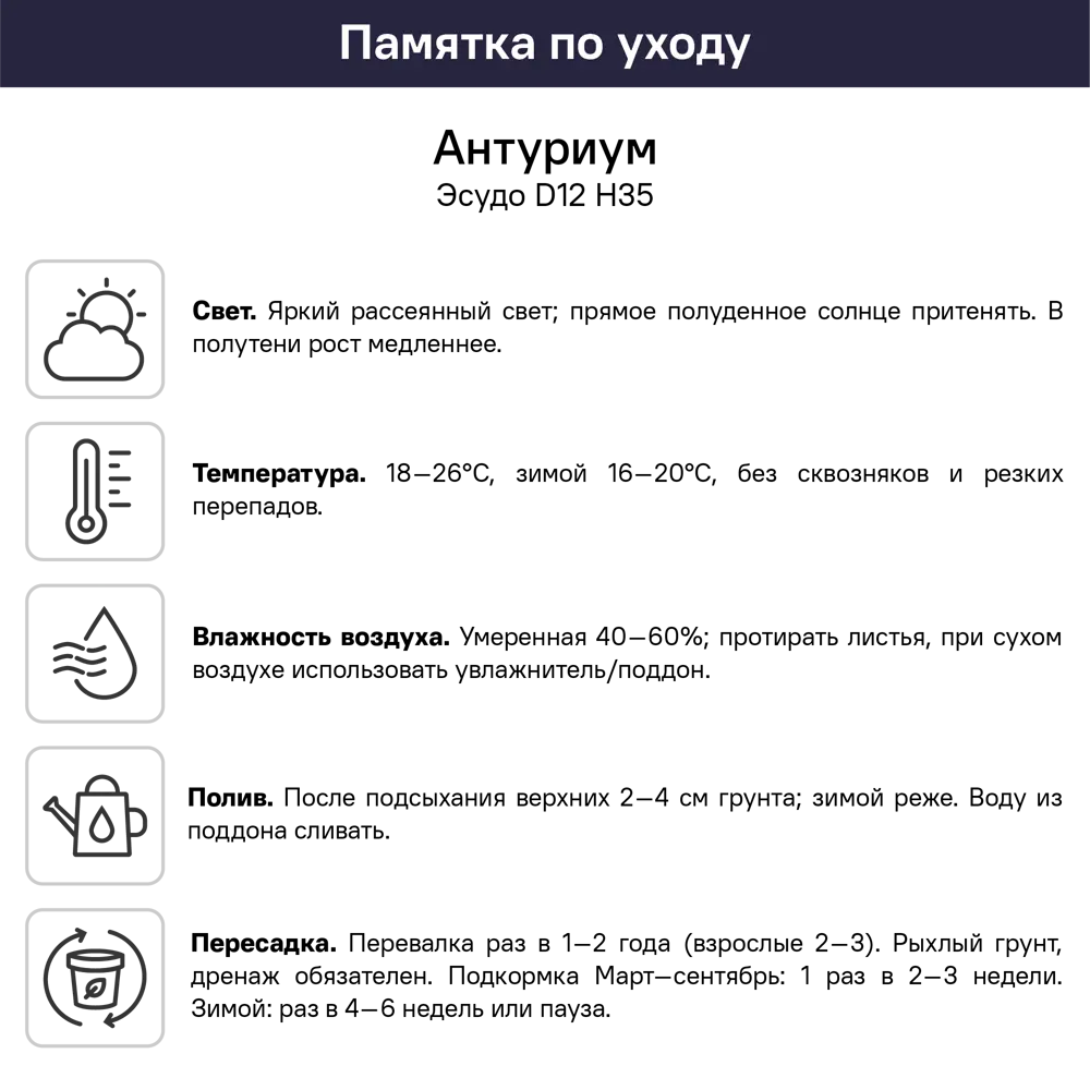 Антуриум Эскудо ø12 h35 см 89421937 STLM-2088500 Santreyd  - Вид №5