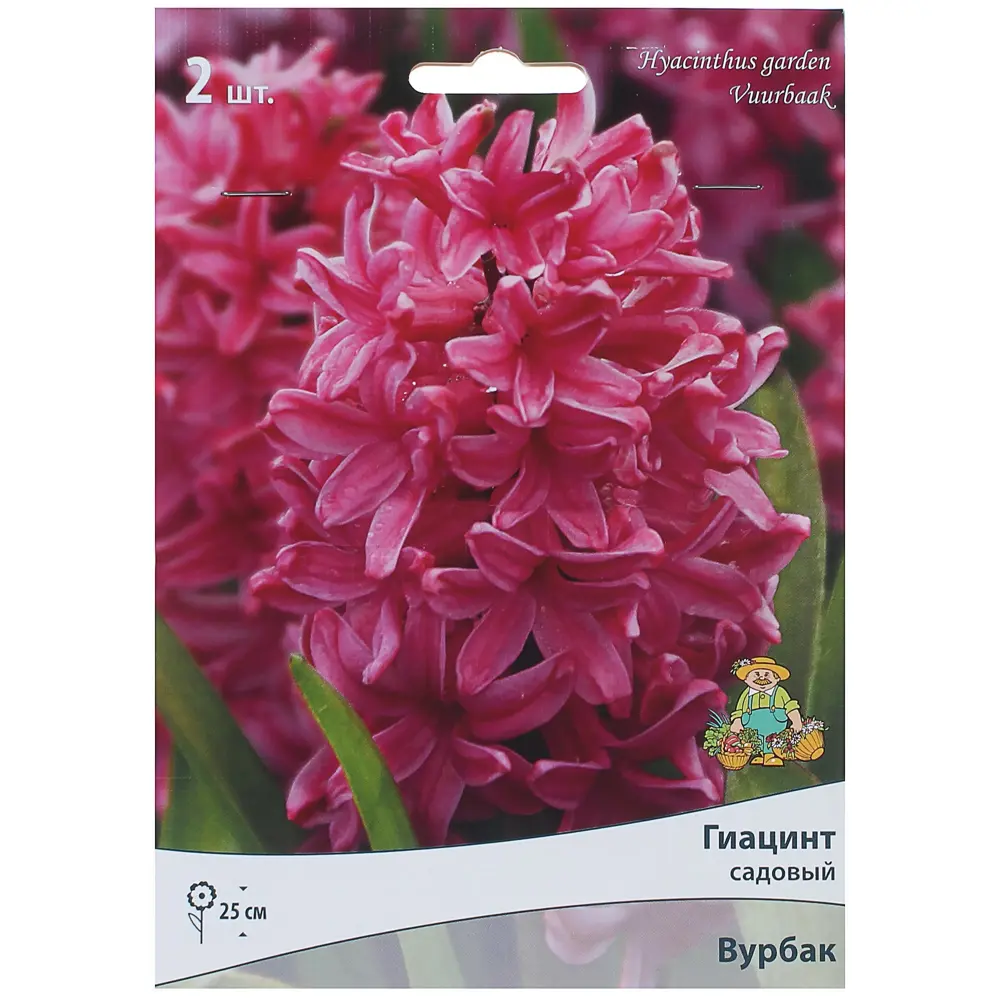 Гиацинт «Вурбак», высота 30 см, 2 шт. 82000165 STLM-2065703 Santreyd 