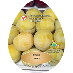 Слива Утро h200 см Поиск Инвест 84399322 STLM-2056187