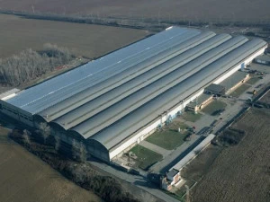 UNIMETAL Профнастил для кровли Genus