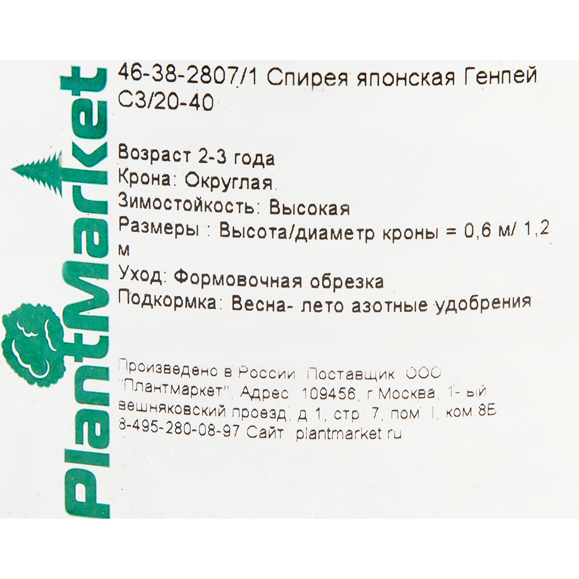 18468710 Спирея японская «Генпей», С3/20-40 см Santreyd  - Вид №1