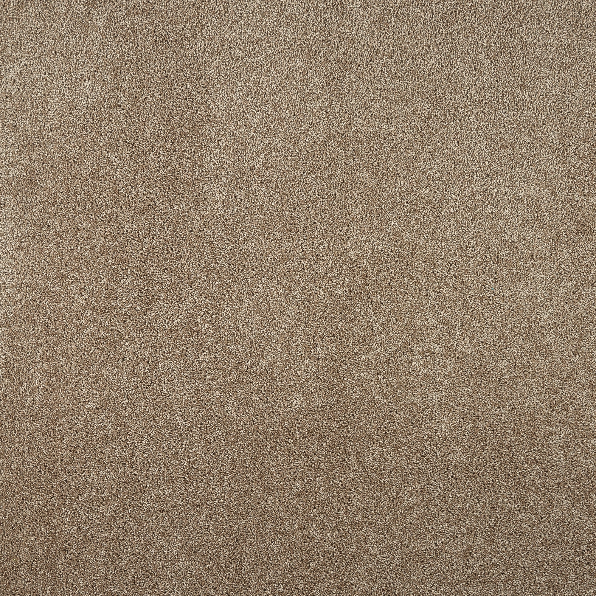 82163705 Ковровое покрытие «Флорида», 3.5 м, цвет кэмел Santreyd 