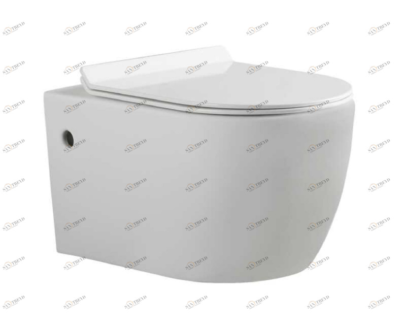 C21172UW-ENG Подвесной унитаз настенный Белый Bravat Gina Китай