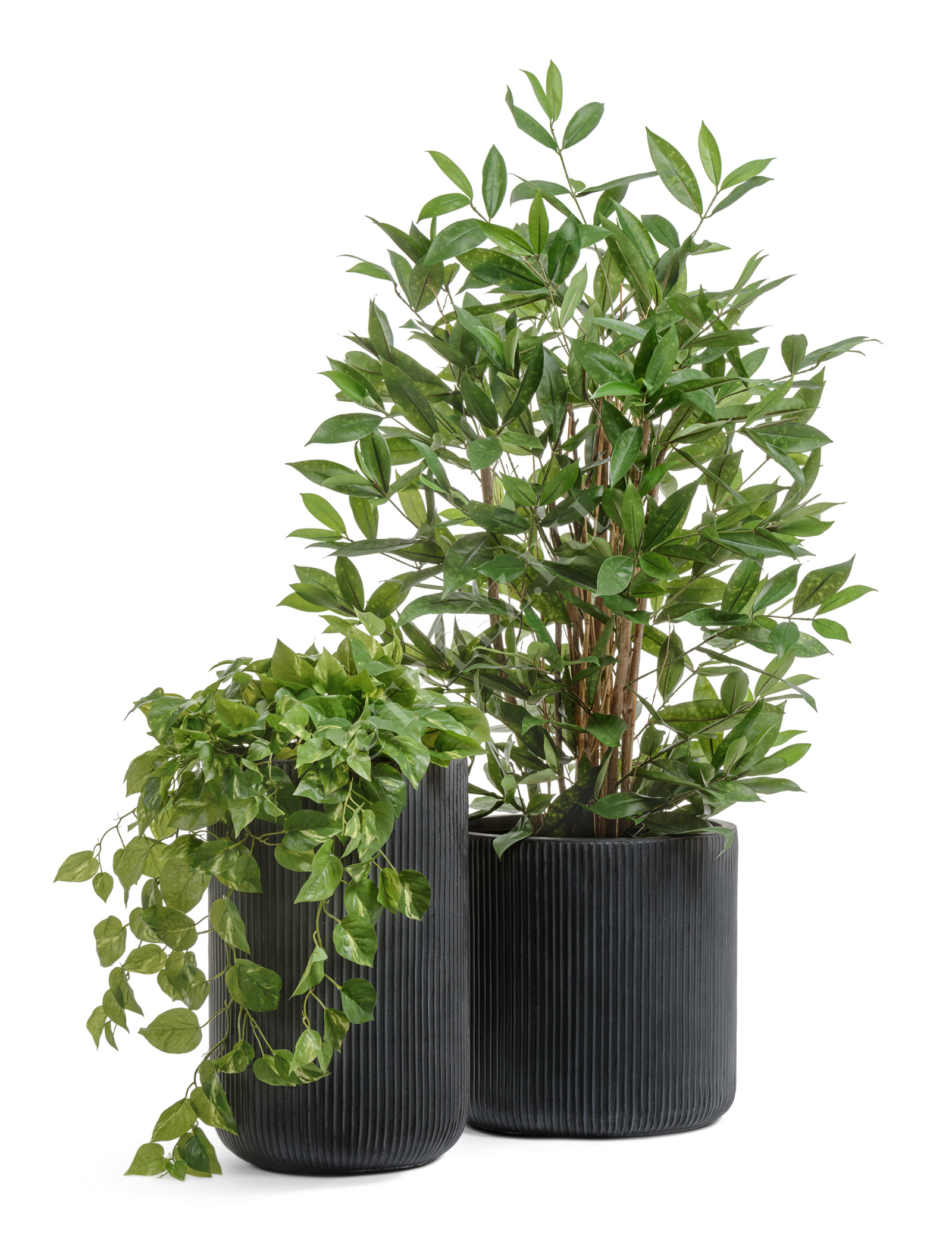 41.1020-0041-BLCK-47 Кашпо  ERGO - серия Jet - Высокий цилиндр - Антрацит Цветочная коллекция  - Вид №6