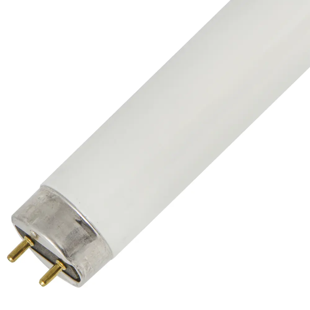 Лампа люминесцентная Belsvet T8 1200 мм 36 Вт свет дневной 14098870 STLM-2186016  - Вид №1