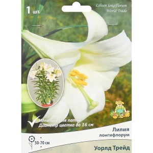 Лилия лонгифлорум Уорлд Трейд 85205732 STLM-2004384