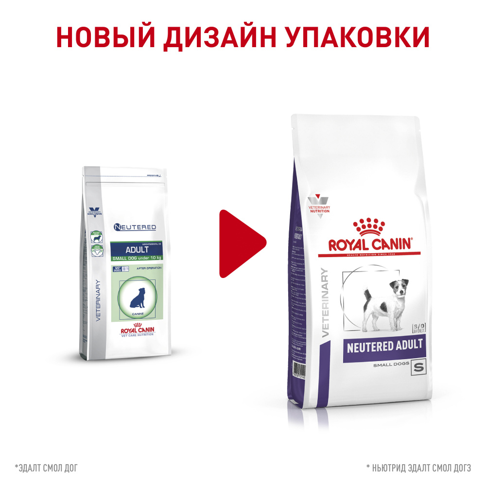 Т0043180 Корм для собак Neutered Adult Small Dog для кастрированных собак мелких пород, птица сух. 800г ROYAL CANIN  - Вид №1
