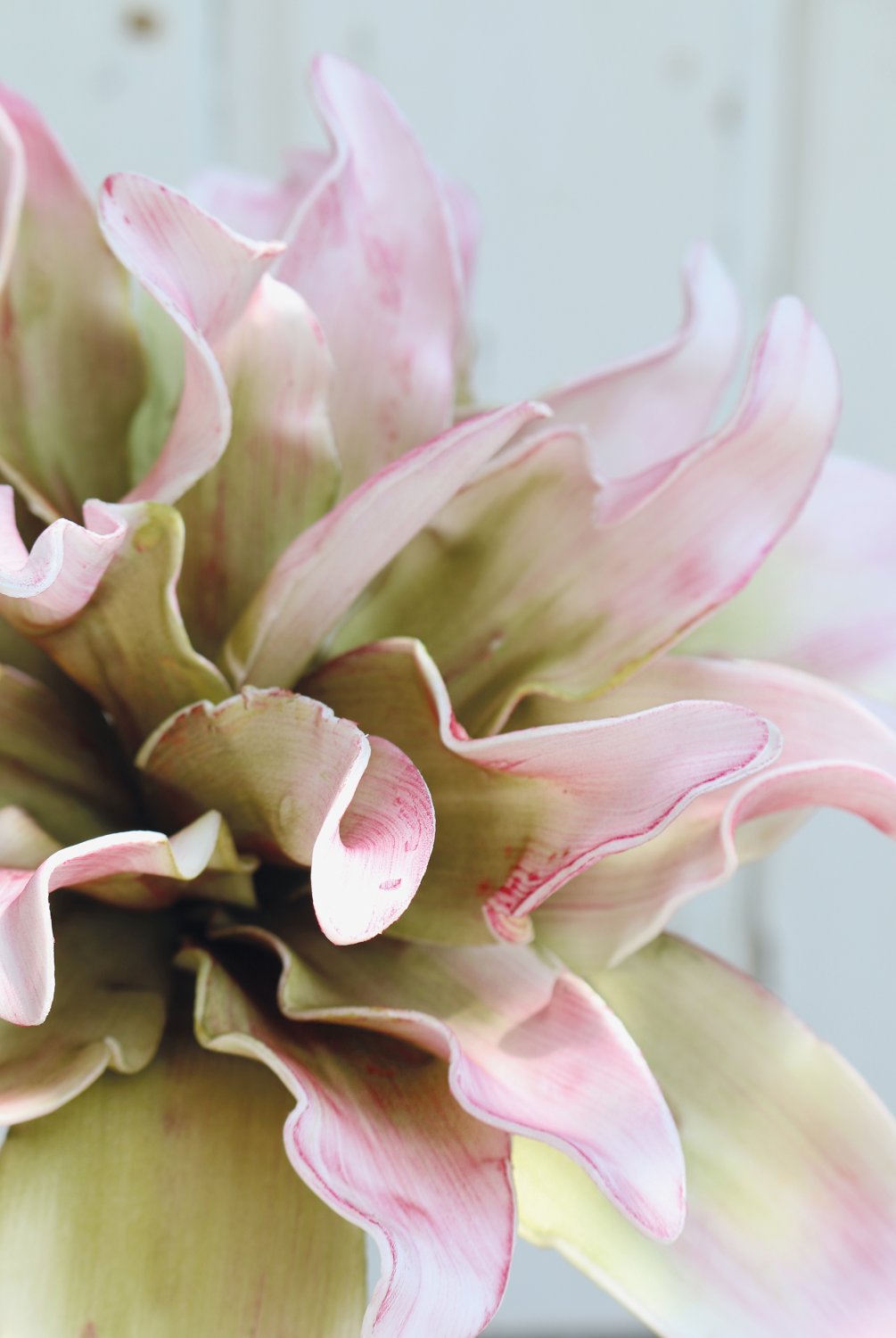 7898 508 a3 Искусственный протея мягкий цветок, 38 см, розово-зеленый H-andreas 