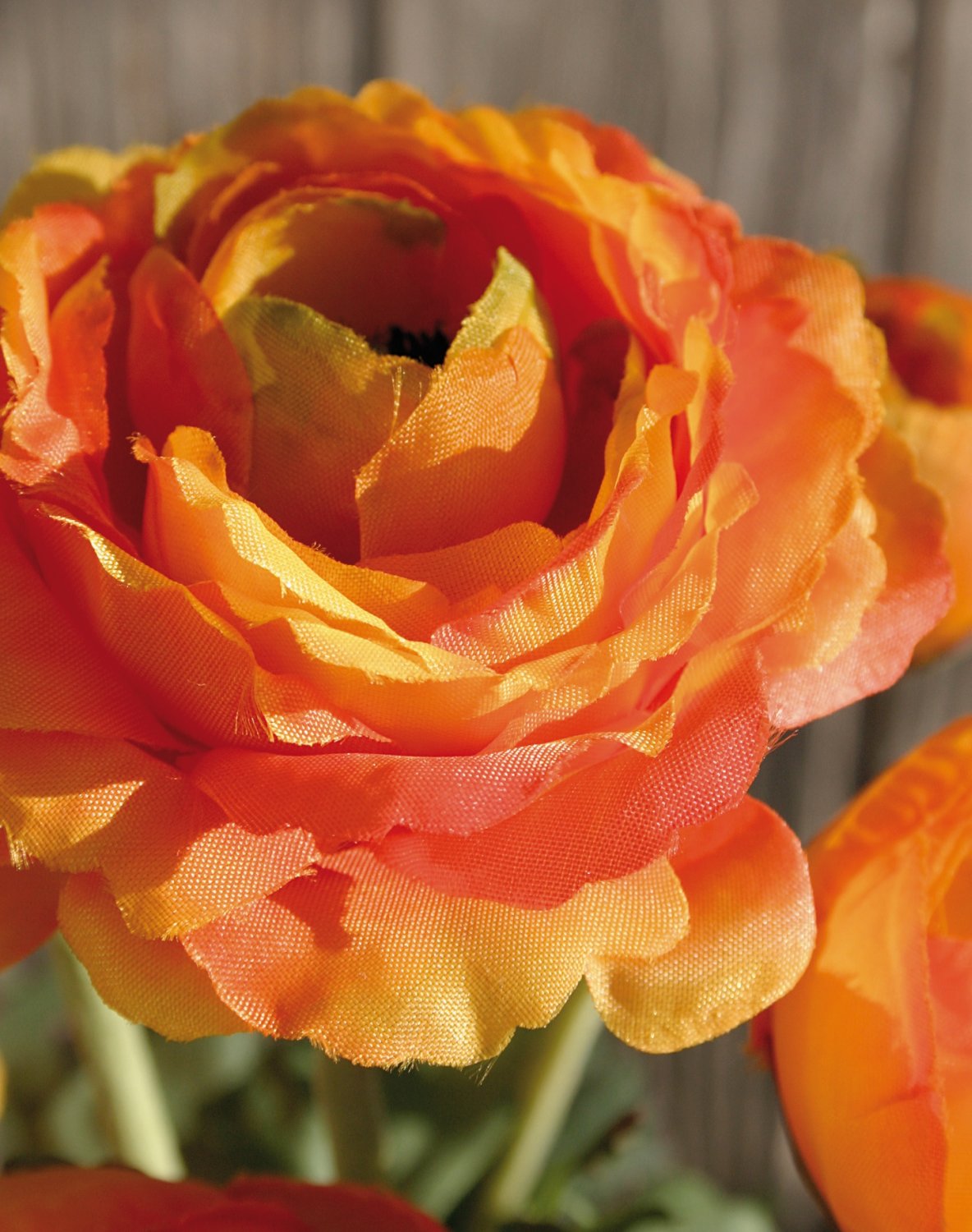 4604 334 a2 Лютик искусственный, горшечный, 6-кратный, 29 см, оранжевый H-andreas  - Вид №3