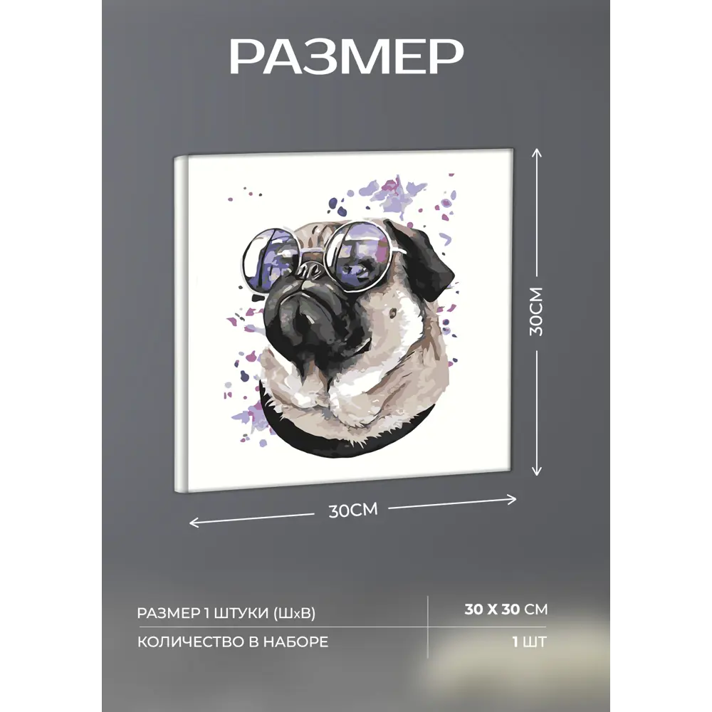 Картина на холсте Мопс 30x30 см 87233241 STLM-2101025 FBRUSH  - Вид №3
