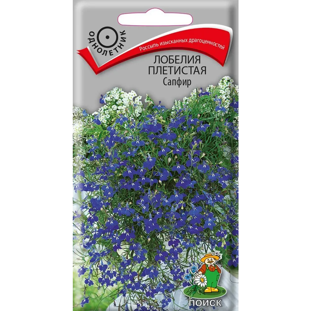 Семена цветов Поиск лобелия плетистая Сапфир STLM-2184681 - Вид №1