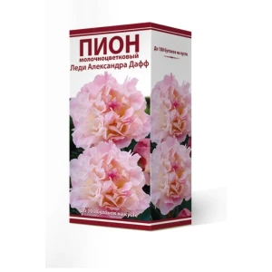 Пион травянистый Леди Александра Дафф луковица 2-3 83600170 STLM-2210019
