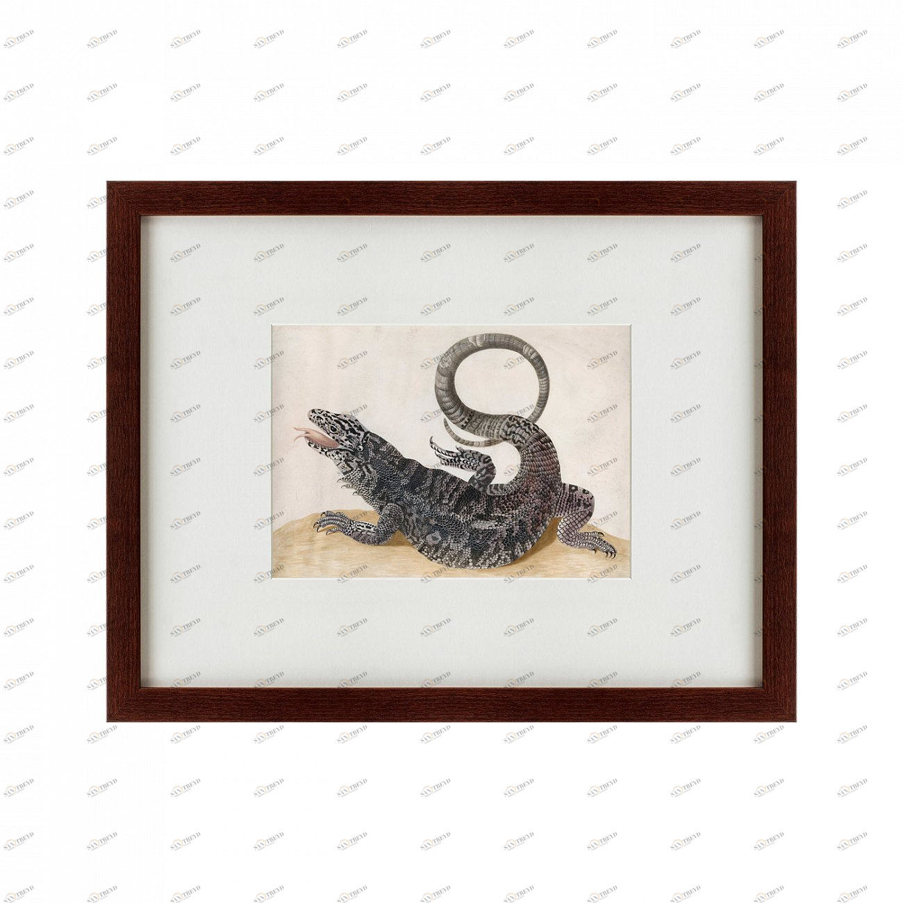 Литография на тонированной бумаге 47х60 см Black Tegu Lizard, 1700 КАРТИНЫ В КВАРТИРУ  135650 Бежевый;белый;коричневый;разноцветный 