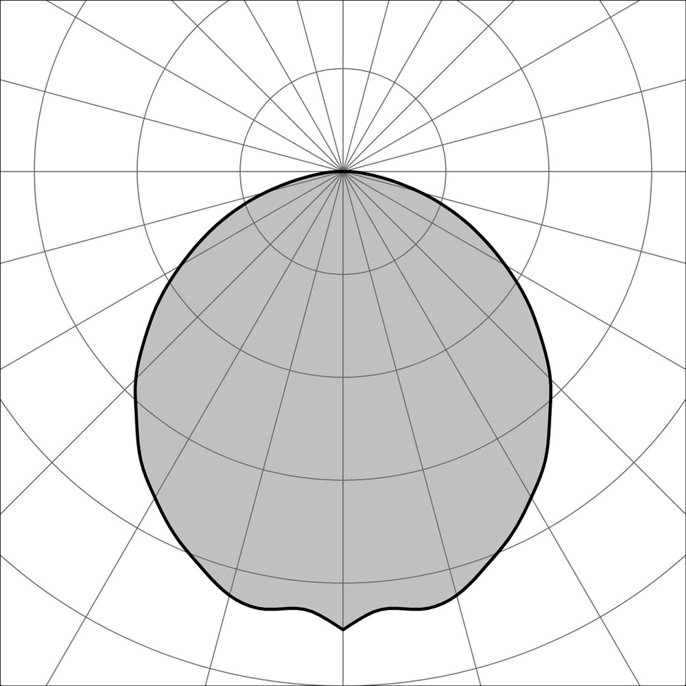 Disco 900 Ghidini Disco .05 Темно-Cерый (Матовый) - Вид №3