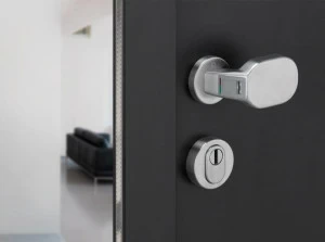 HOPPE Дверная ручка со сканером отпечатков пальцев Hoppe idencom