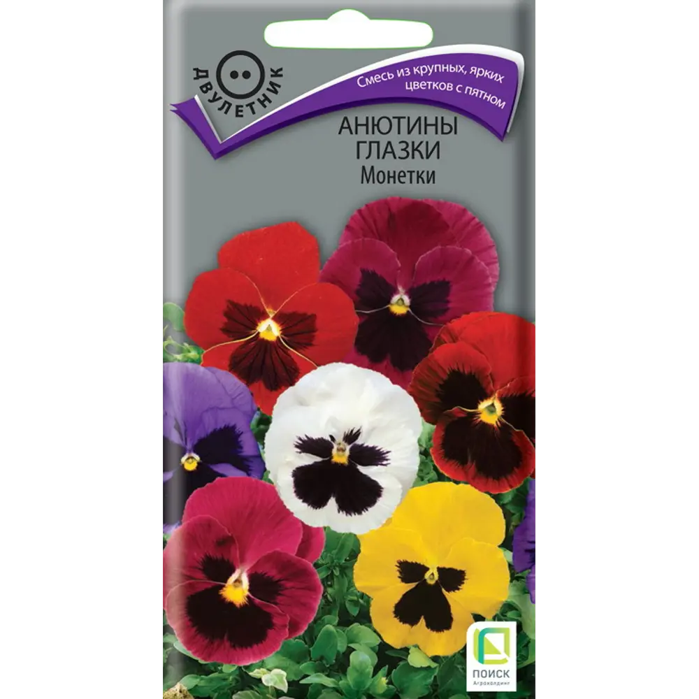Фиалка Превосходный Ракли от ПОИСК - разноцветные анютины глазки для сада 89401095 STLM-1570098