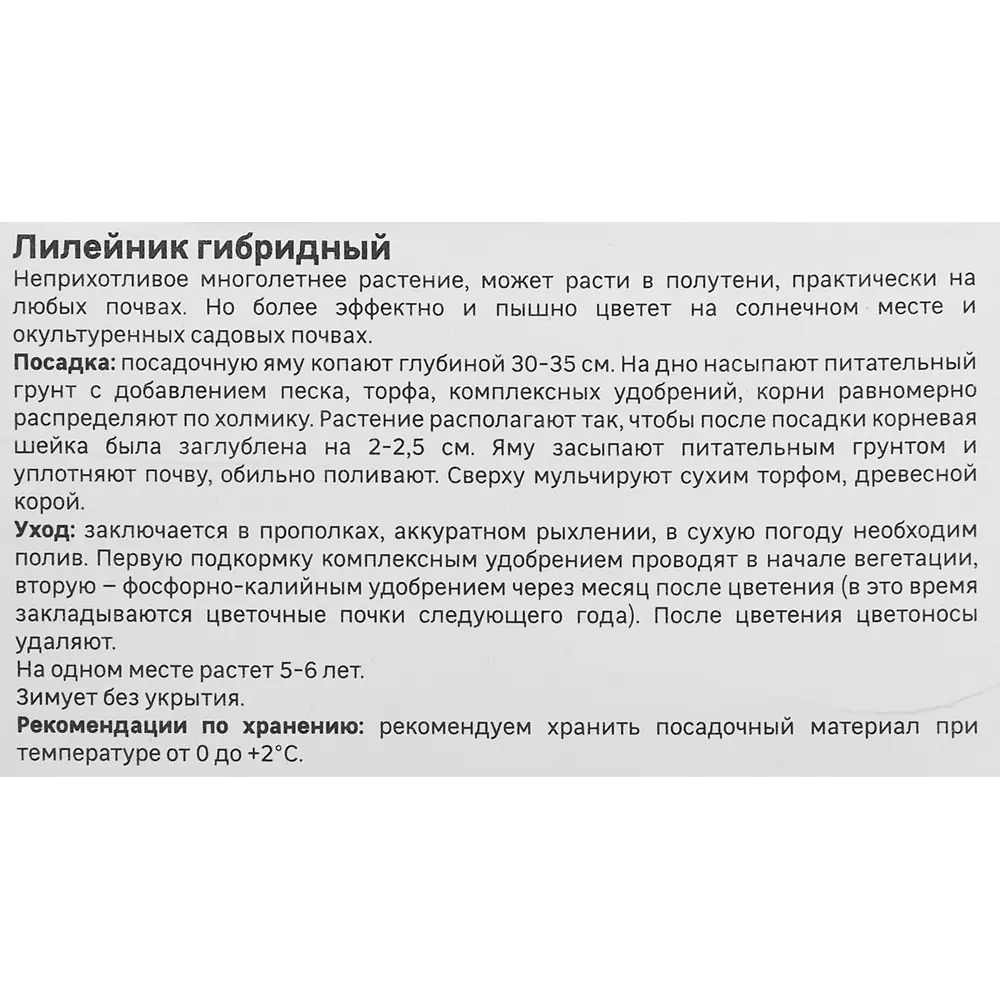 Лилейник Geolia гибридный Мини Стелла 86408703 STLM-2099337  - Вид №3