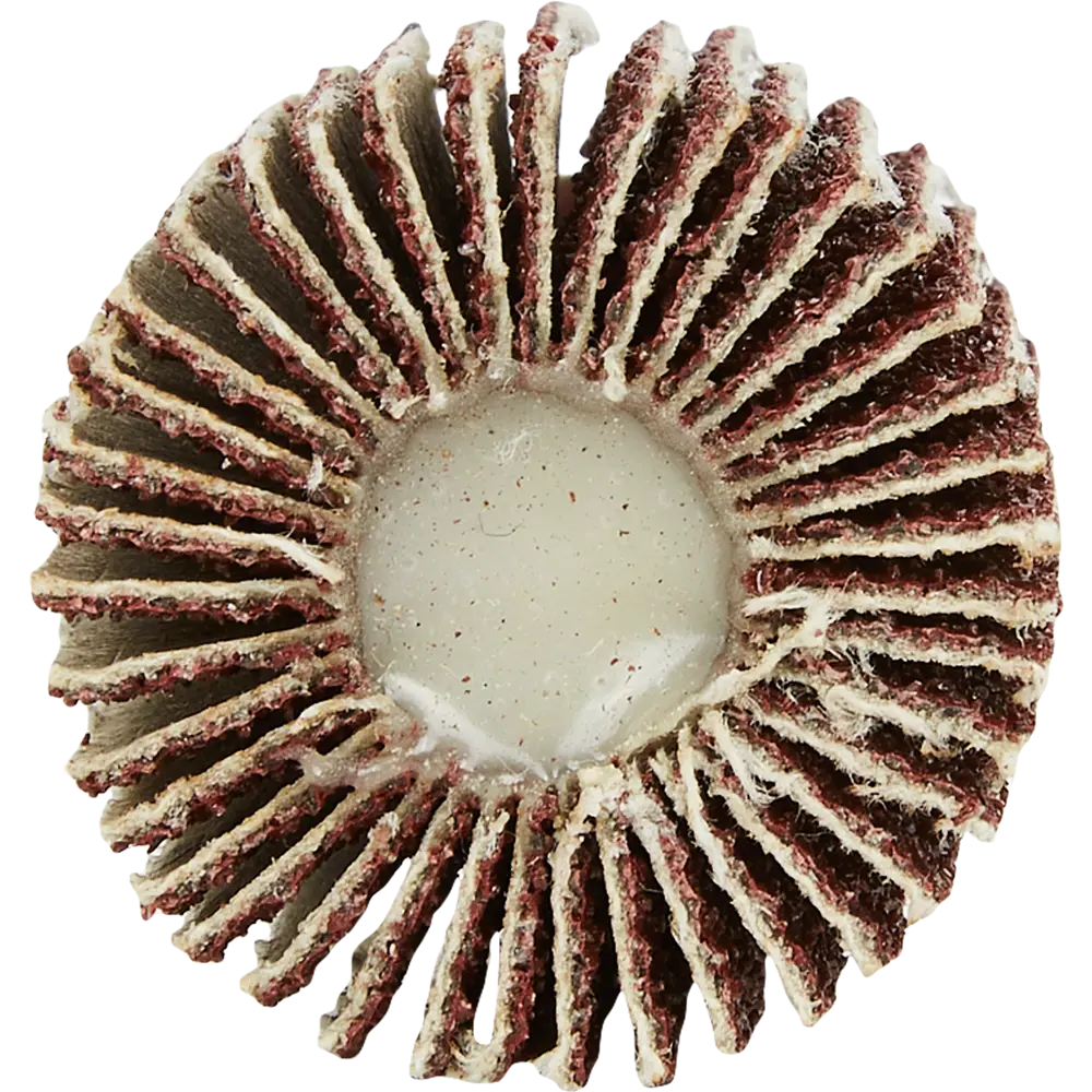 Круг лепестковый радиальный КЛО для дрели Спец 3579 P60 30x6x25 мм STLM-2045666 - Вид №2