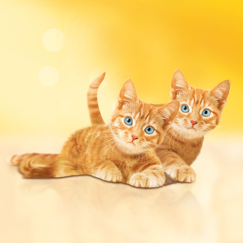 ПР0051848 Корм для котят с курицей в подливе, пауч 85 г Friskies  - Вид №8