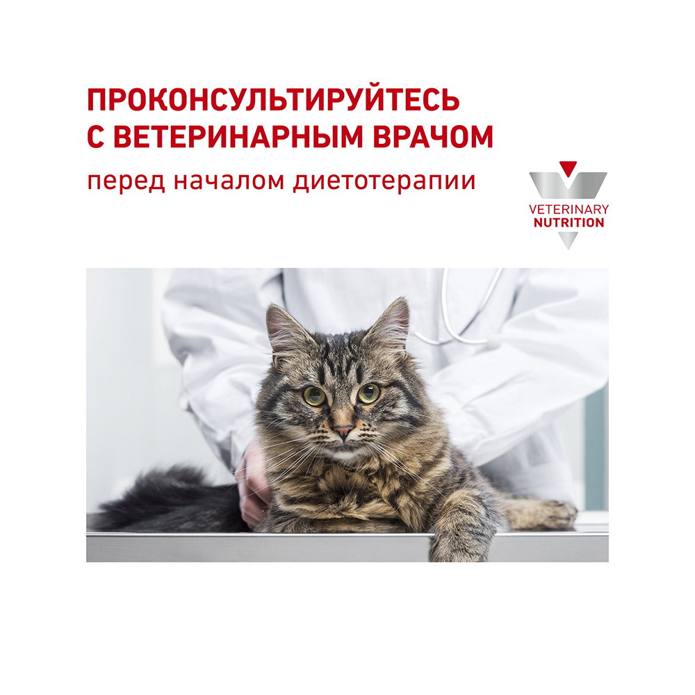 Т0023154 Корм для кошек Vet Diet Renal RF23 при почечной недостаточности, птица сух. 2кг ROYAL CANIN  - Вид №8