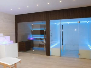 CARMENTA Сборная профессиональная финская сауна Dream