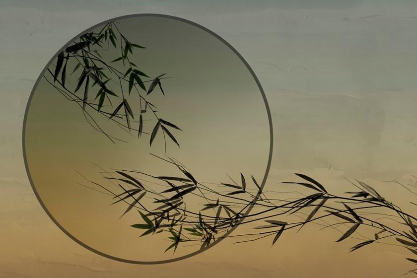 GLAMORA Водостойкие обои Glamfusion ™ Collection xi glamfusion Glf89 - Вид №1