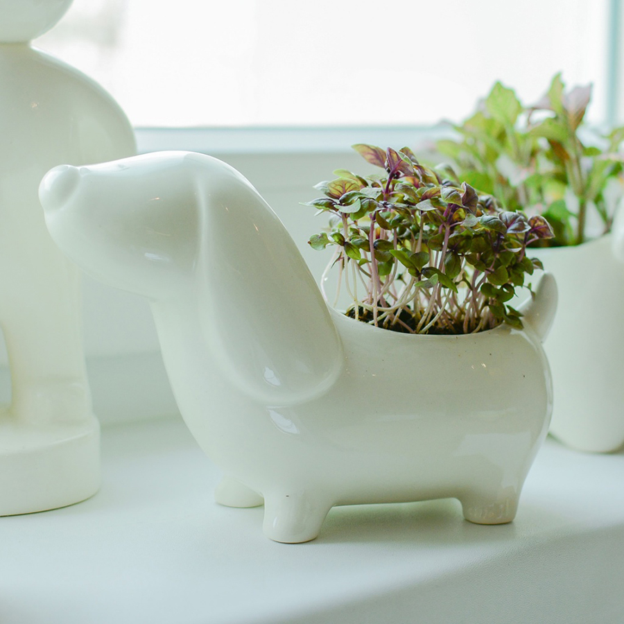 Набор для выращивания Eco Собачка ЭКОЧЕЛОВЕКИ ECS305 - Вид №2