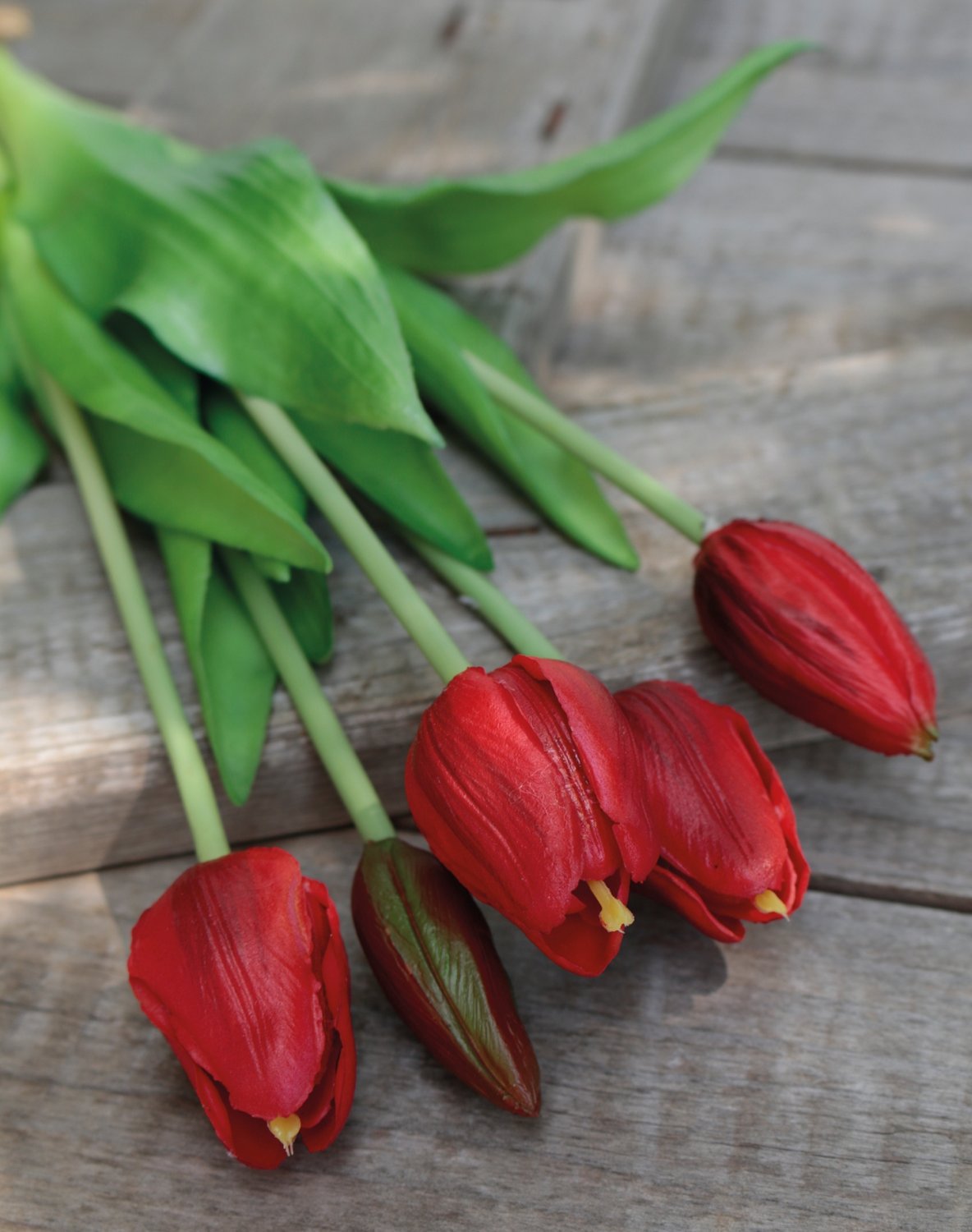 2952 444 a3 Искусственный букет тюльпанов, 5-цветков, 37 см, красный H-andreas 