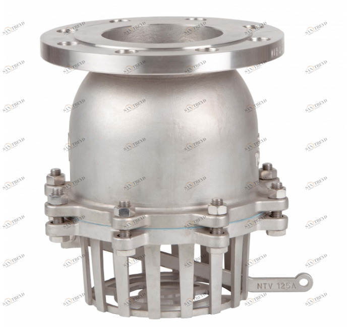 GENEBRE 2448 10 Обратный клапан с ножкой с фланцем DIN PN 16 