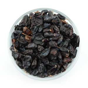 Барбарис чёрный