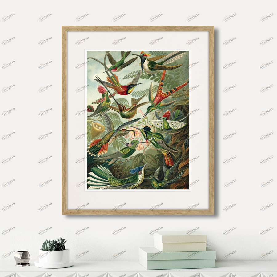Картина в раме 52х42 см Art forms of nature №1, 1897г. КАРТИНЫ В КВАРТИРУ  264455 Бежевый;зеленый;разноцветный 