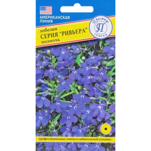 Семена Лобелия «Ривьера Полночь»