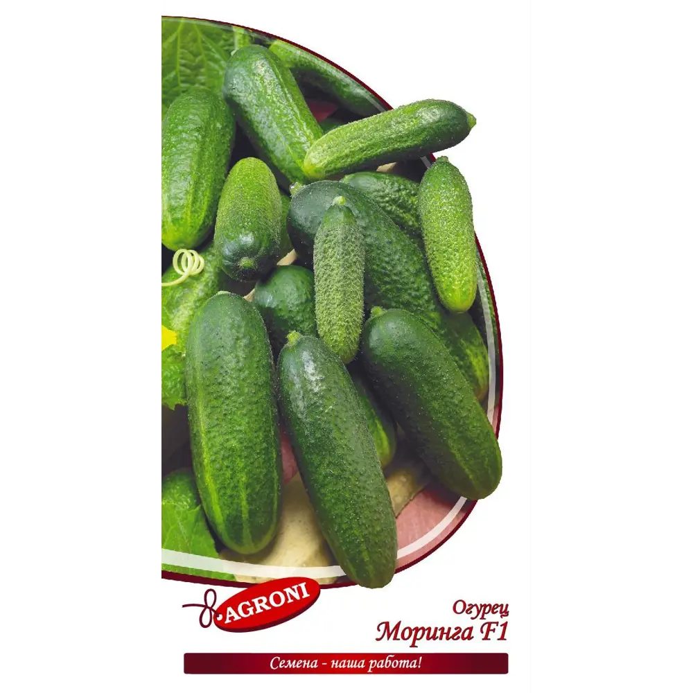 Семена огурца Моринга F1 AGRONI - среднеранний гибрид для открытого грунта 89400854 STLM-1570072