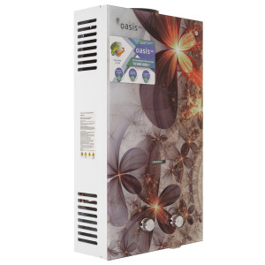 9166887 Водонагреватель газовый Oasis Eco B-20