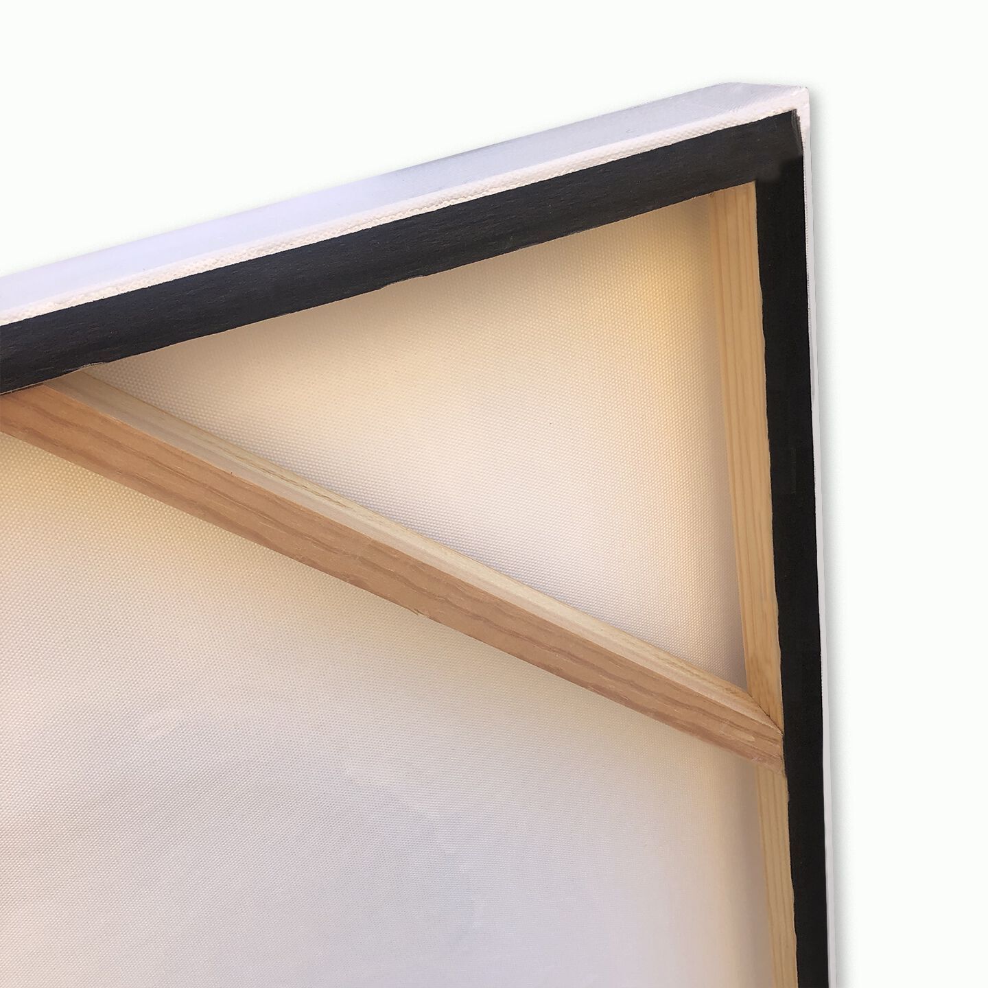 Холст рамки Agave VENTAGLI ARCH-00007298 - Вид №1