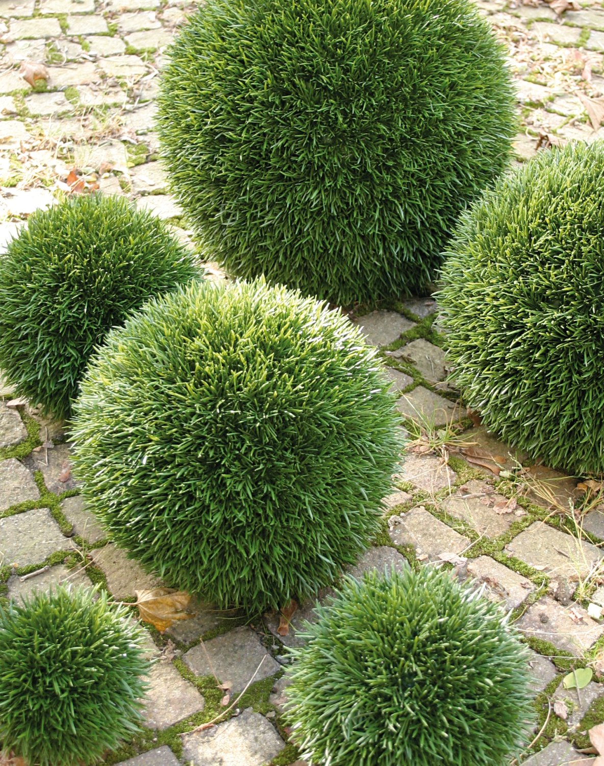 4886 883 a3 Пластиковый мяч для травы, синтетический материал, Ø 43 см, зеленый H-andreas 