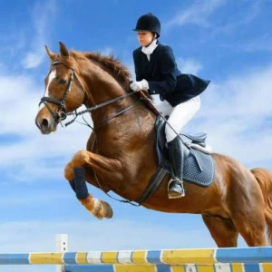 WP01354 Фотообои Verol Фотообои decoline 1х1 м