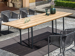 ТИК и металлический садовый стол