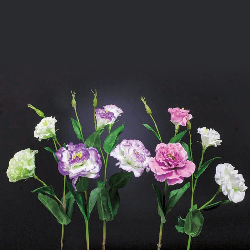 L29BIX6 Лизиантус Цветок Adriani e Rossi  - Вид №1