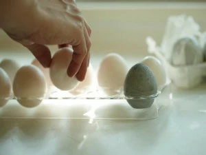 soil Регулятор влажности диатомовой земли для пищевых продуктов