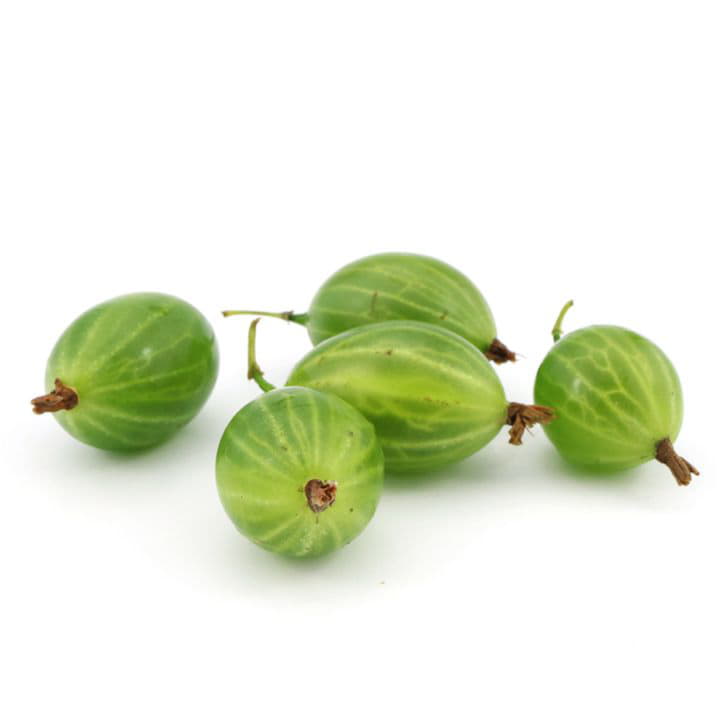 Крыжовник зелёный Santreyd 5059