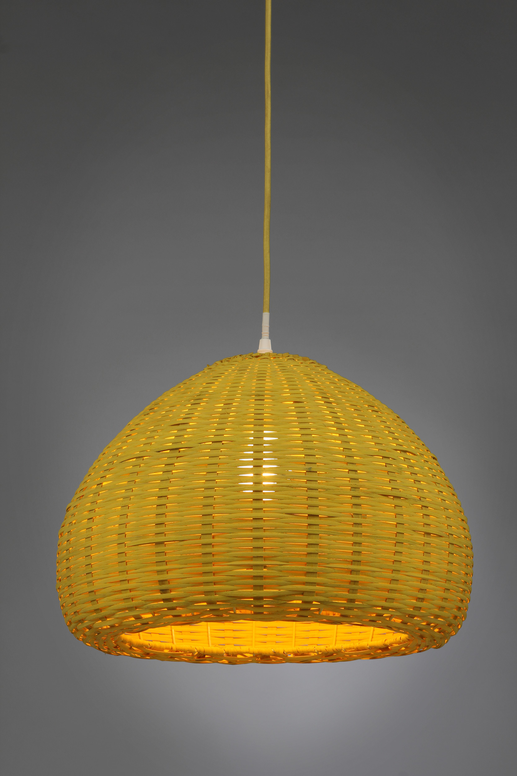 2000983116734 Подвесной светильник Spatter-Dock ELECTRORETRO  - Вид №4