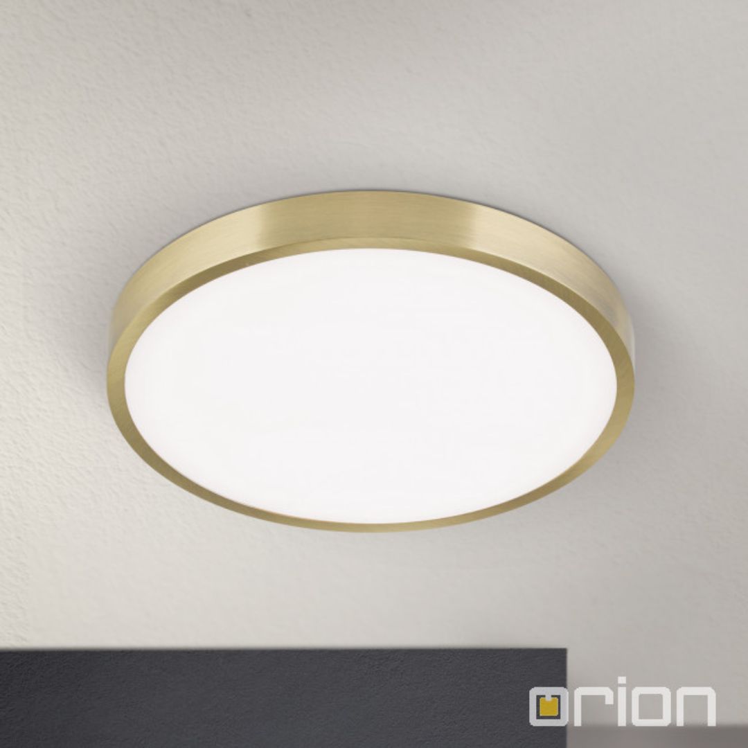 Orion DL 7-657/24 patina светильник настенно-потолочный 119048 - Вид №1