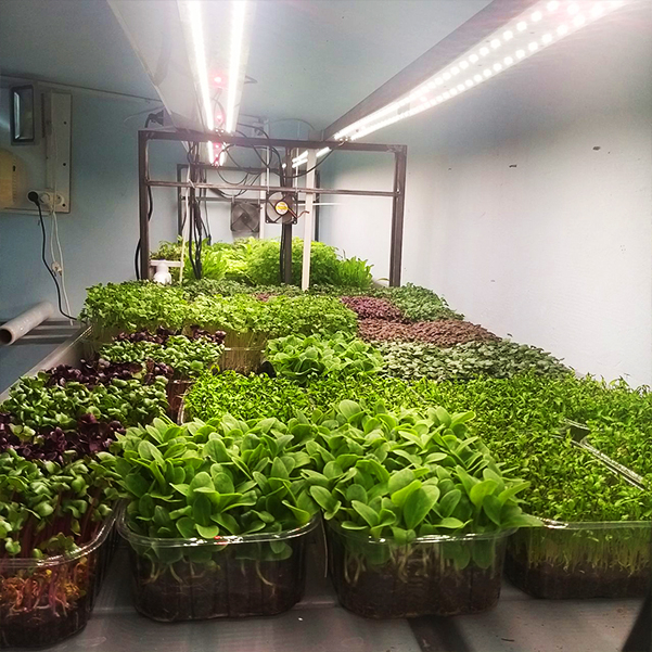 3537 Комплект Quantum line 60 см LAB.Space  - Вид №7