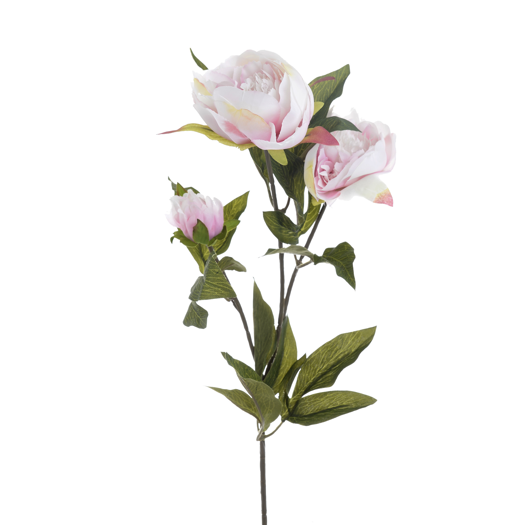 3885100.0102 искусственный цветок TO4ROOMS  - Вид №1