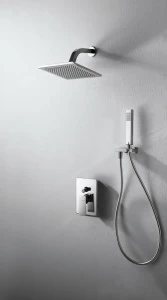 Встраиваемый смеситель с душевым набором PHILLIS F856101C-A-ENG bravat